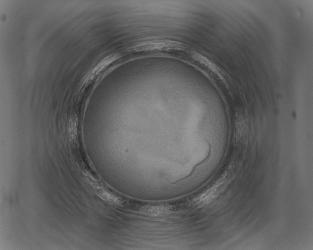 X0000067390778200604031032