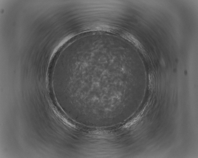 X0000067390780200604031032