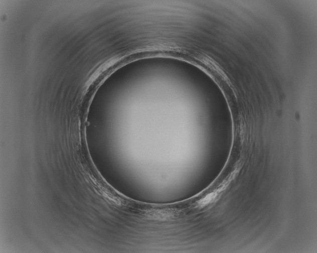 X0000067390781200604031032