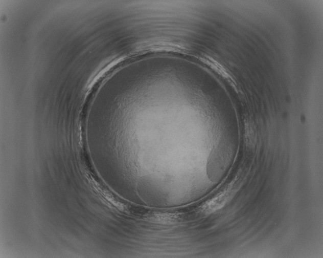 X0000067390782200604031031