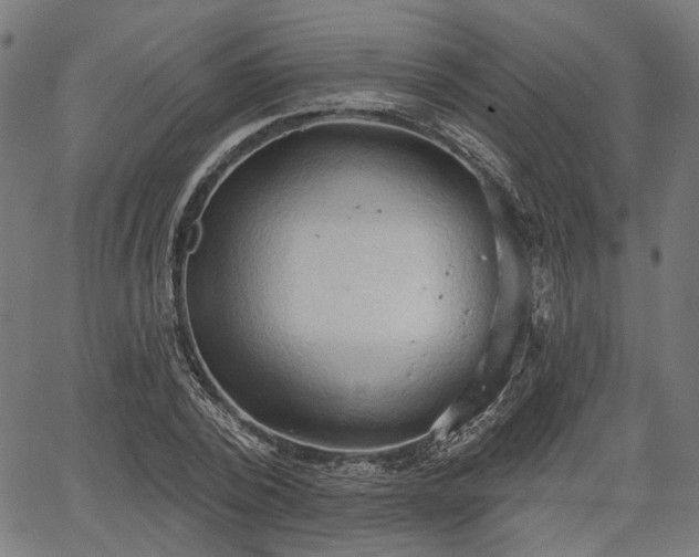 X0000067390784200604031031