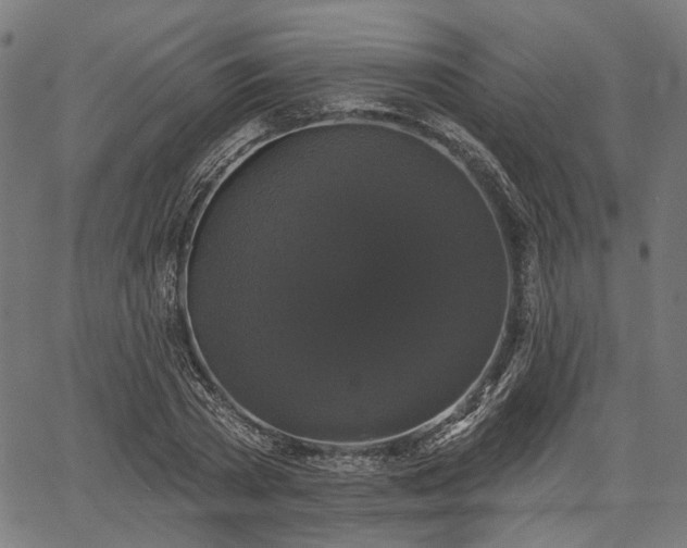 X0000067390785200604031031