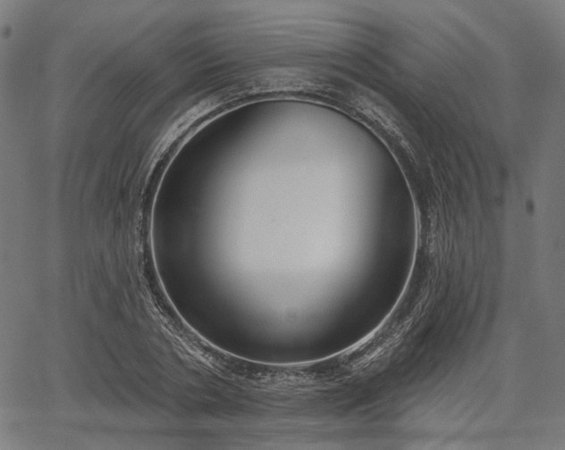 X0000067390786200604031031