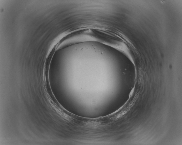 X0000067390788200604031031