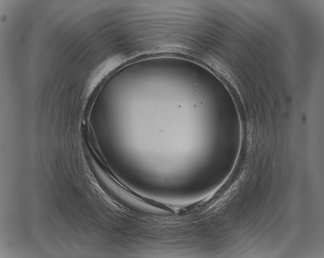 X0000067390789200604031031