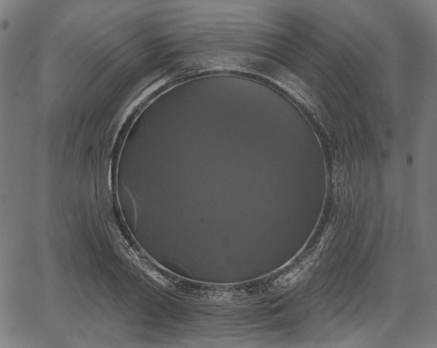 X0000067390790200604031031