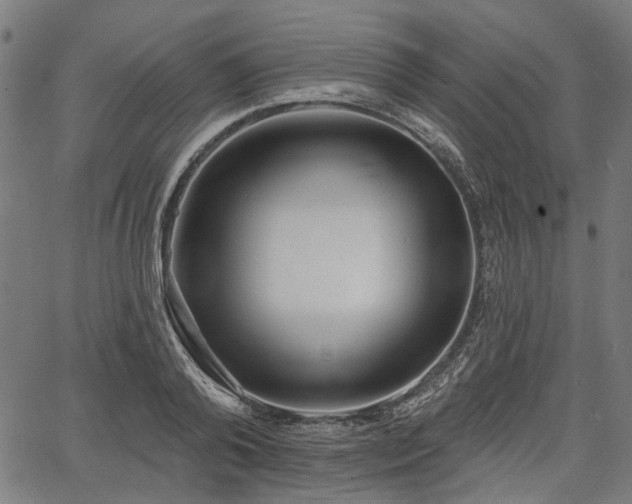 X0000067390792200604031031