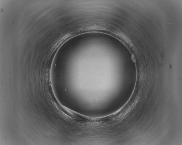 X0000067390793200604031031