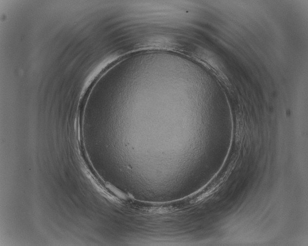 X0000067390796200604031031