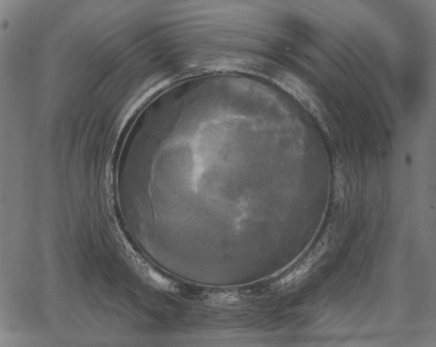 X0000067390798200604031031