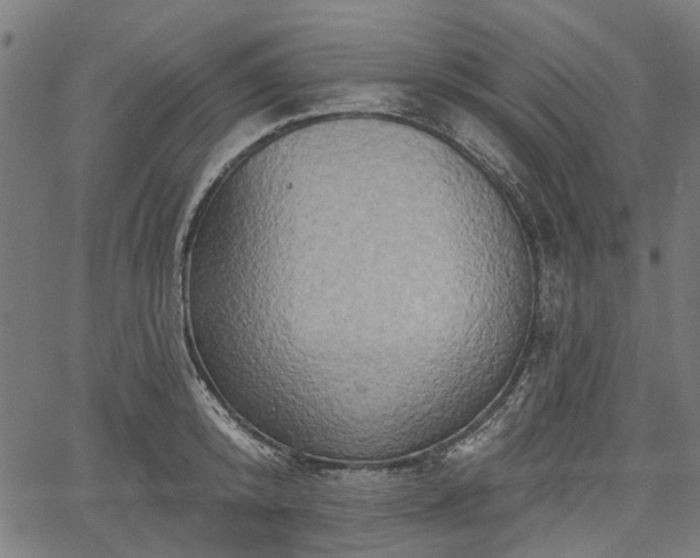 X0000067390800200604031031