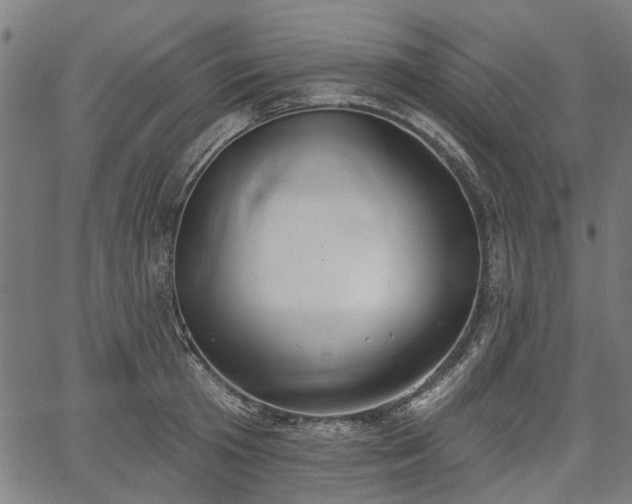 X0000067390801200604031031