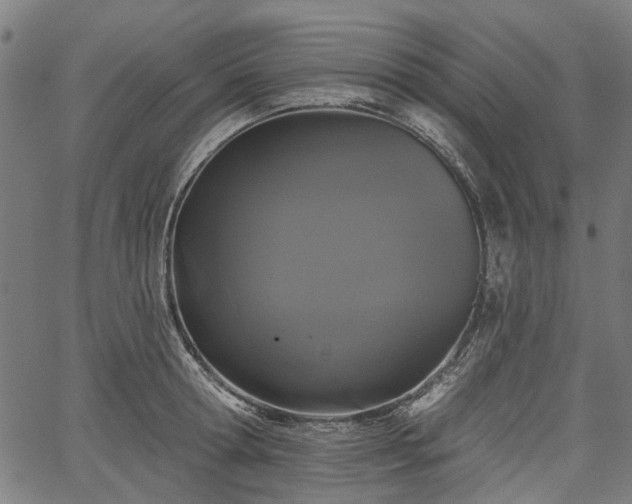 X0000067390802200604031031