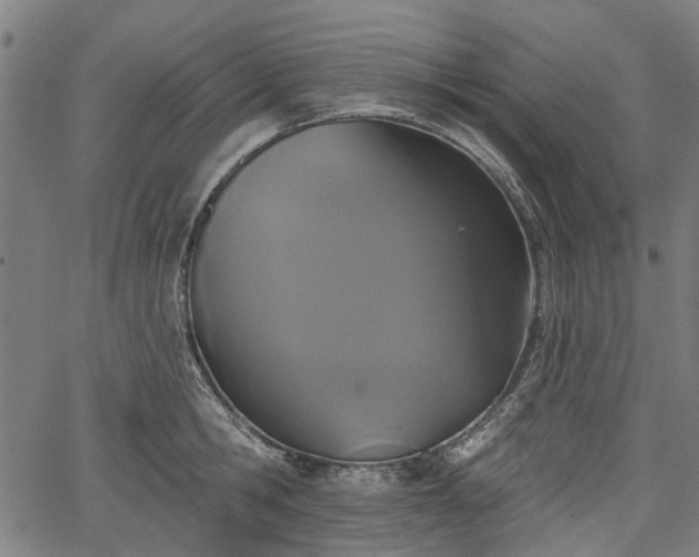 X0000067390806200604031031