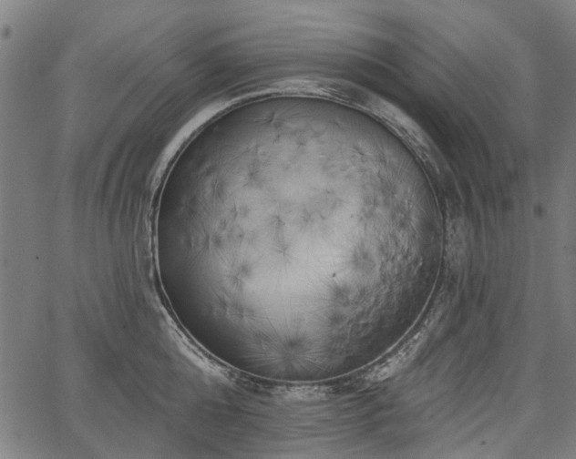 X0000067390808200604031031