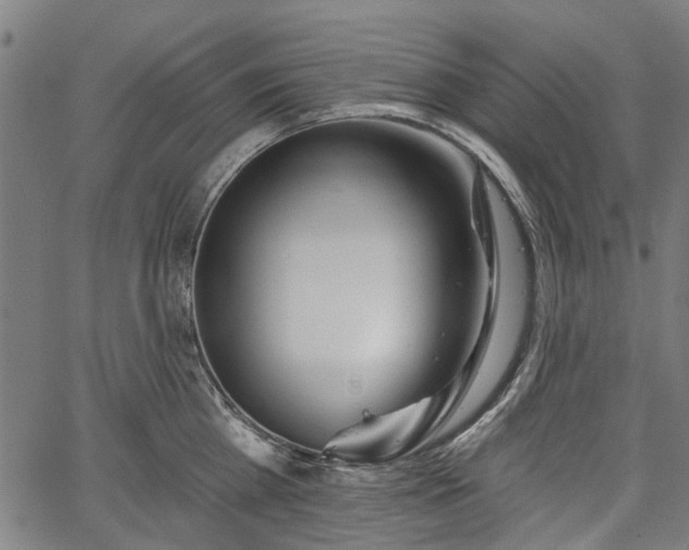 X0000067390809200604031031