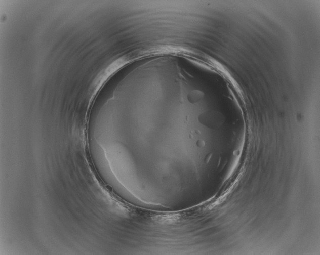 X0000067390810200604031031