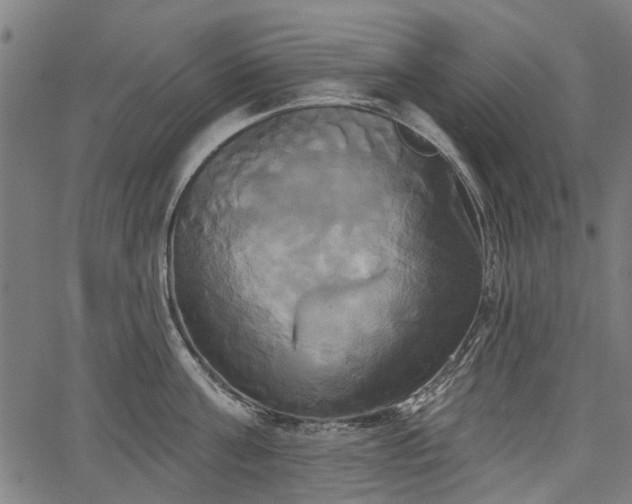 X0000067390811200604031031