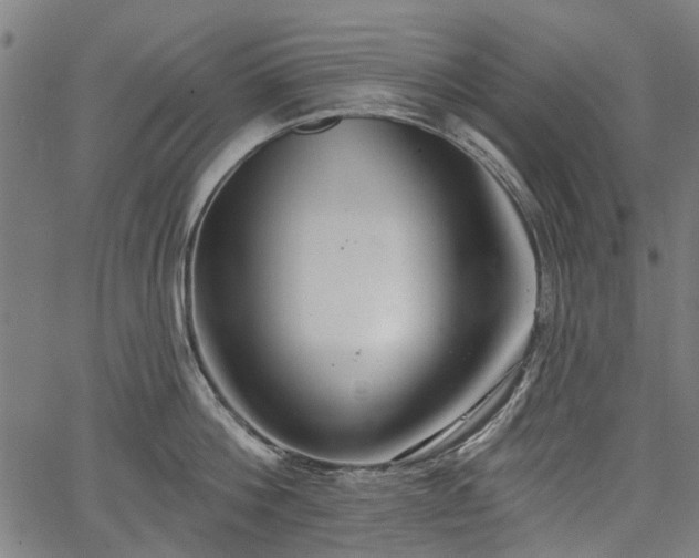 X0000067390812200604031031