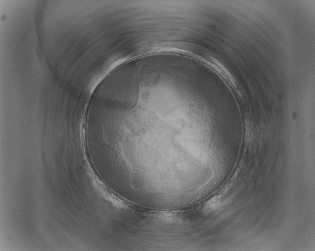 X0000067390814200604031031