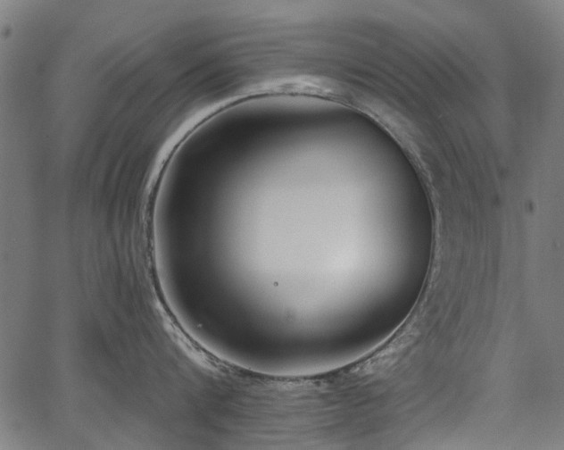 X0000067390816200604031031