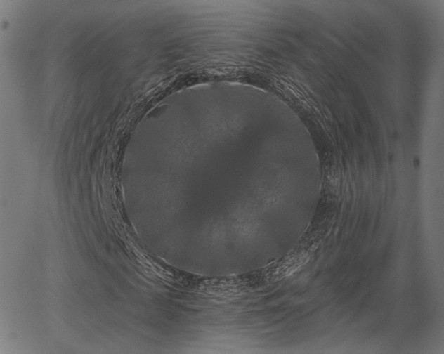 X0000067390817200604031030