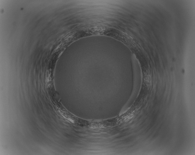 X0000067390818200604031030