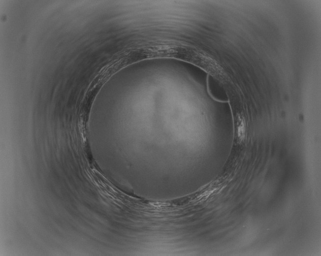 X0000067390819200604031030