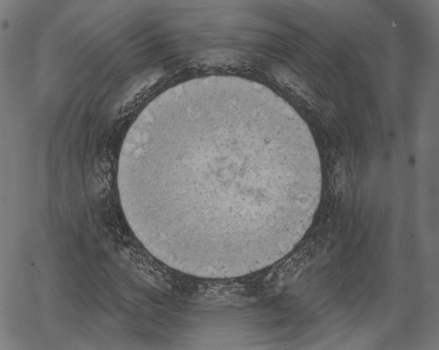 X0000067390824200604031030