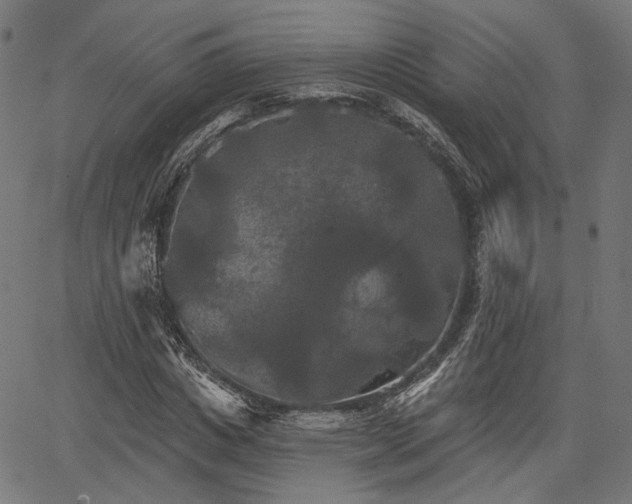 X0000067390825200604031030