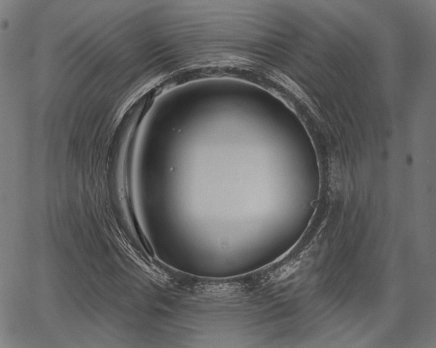 X0000067390826200604031030