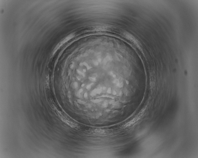 X0000067390827200604031030