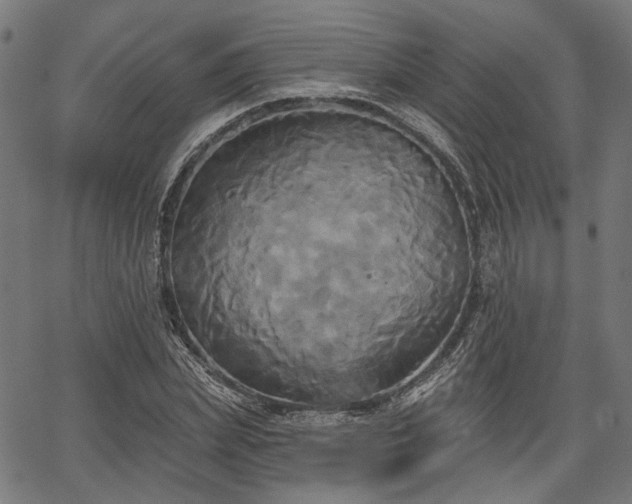 X0000067390831200604031030