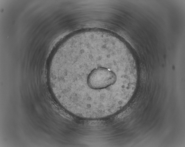 X0000067390832200604031030