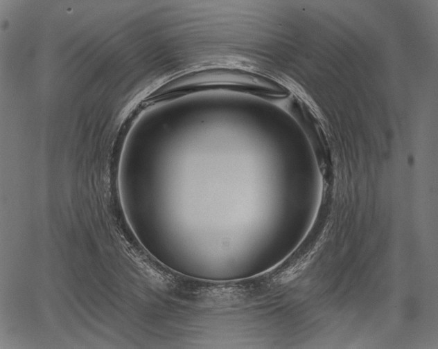 X0000067390834200604031030