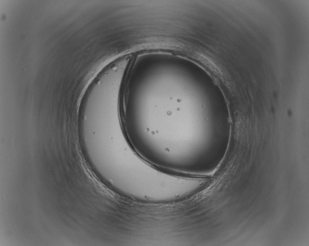 X0000067390836200604031030