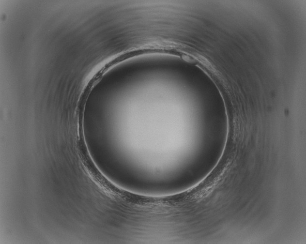 X0000067390838200604031030