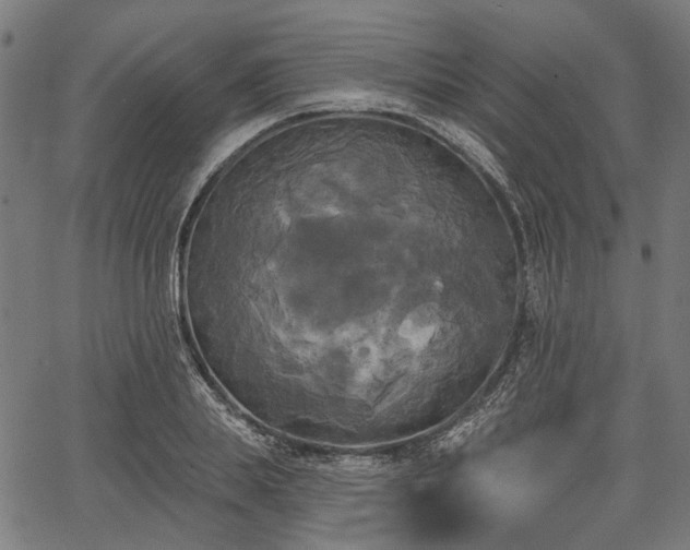 X0000067390839200604031031