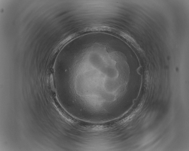 X0000067390841200604031031