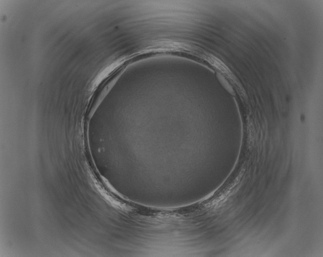 X0000067390842200604031031