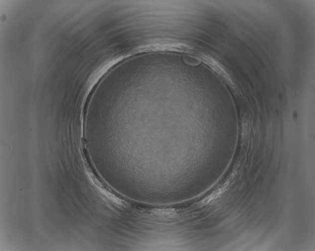 X0000067390844200604031031