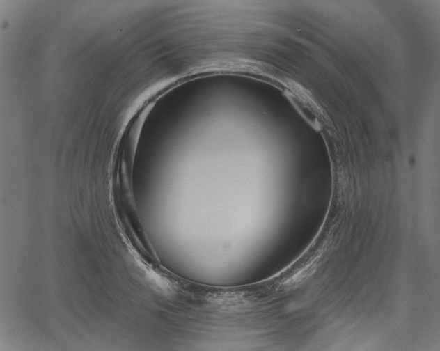 X0000067390846200604031031