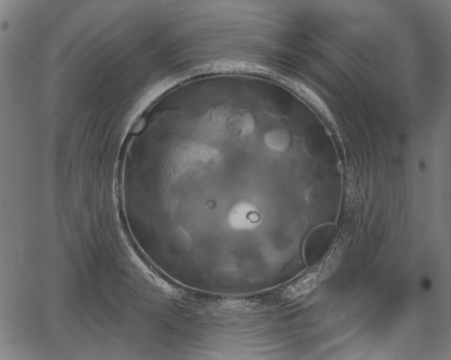 X0000067390847200604031031