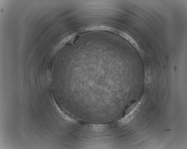 X0000067390849200604031031