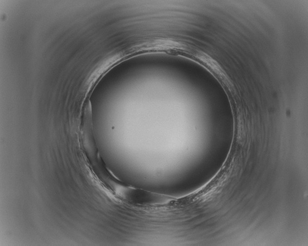 X0000067390850200604031031