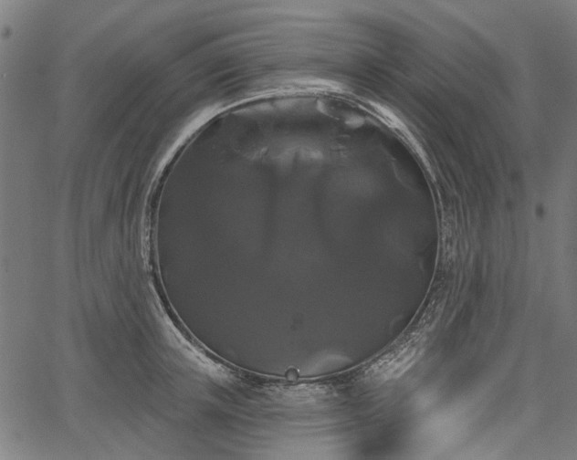 X0000067390851200604031031