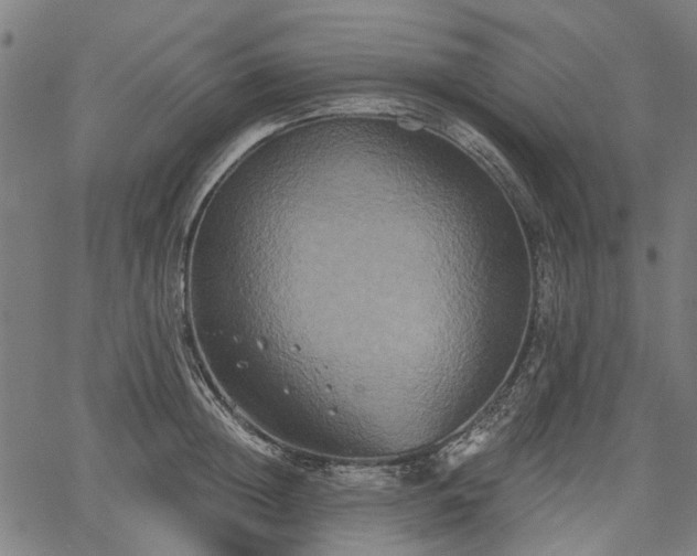 X0000067390852200604031031