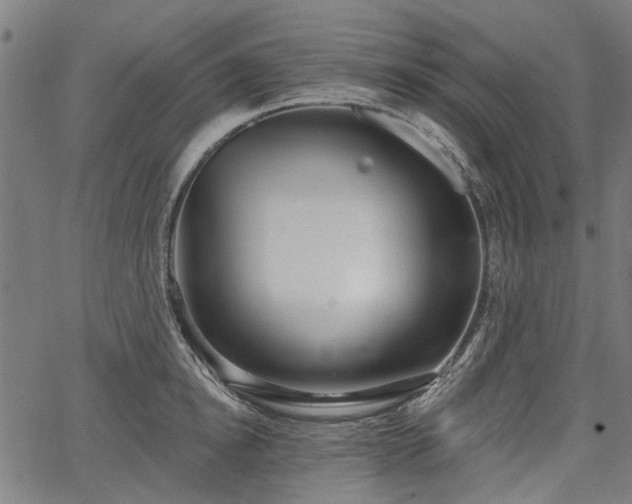 X0000067390854200604031031