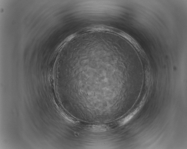 X0000067390857200604031031