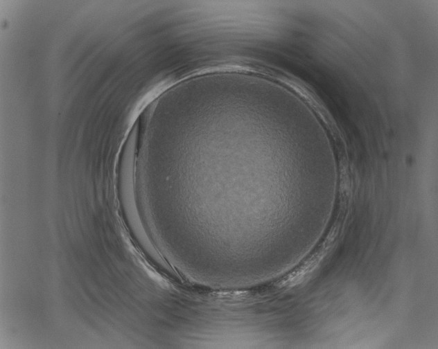 X0000067390858200604031031